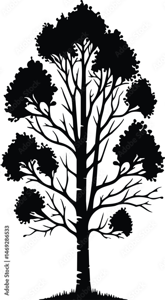 Obraz premium Vector Aspen Design