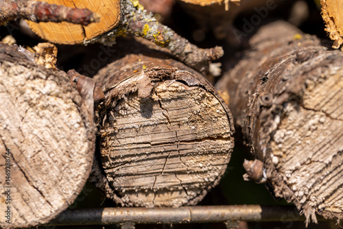 cherry wood for barbecuing or cooking on the fire, close up