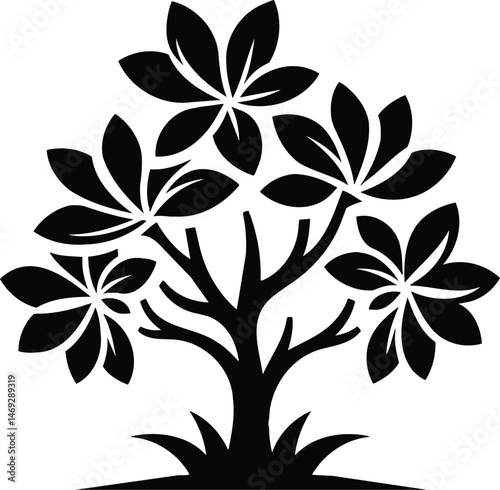 Clean frangipani symbol