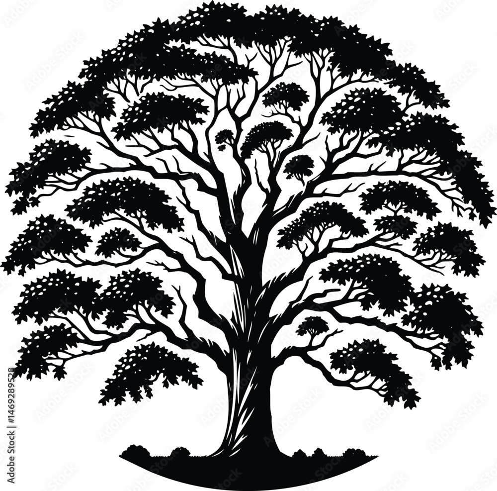 Obraz premium Black White Tree Silhouette