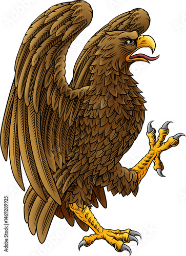 Eagle hawk or falcon heraldry coat of arms or family crest medieval shield style heraldic animal. In a vintage woodcut style.