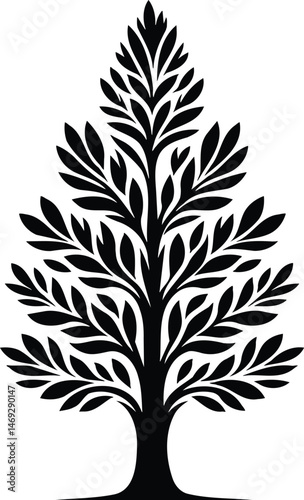 Black and white juniper