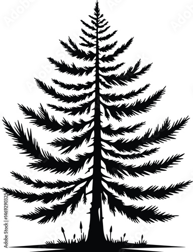 Elegant Tree Outline
