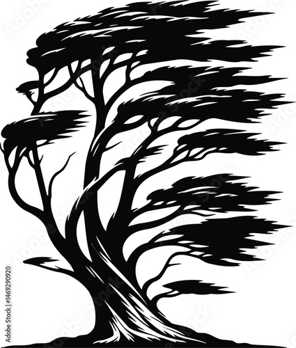 Coastal Tree Silhouette