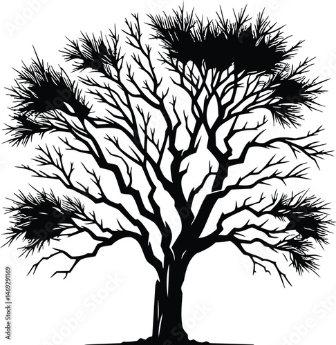 Sparse Tree Vector