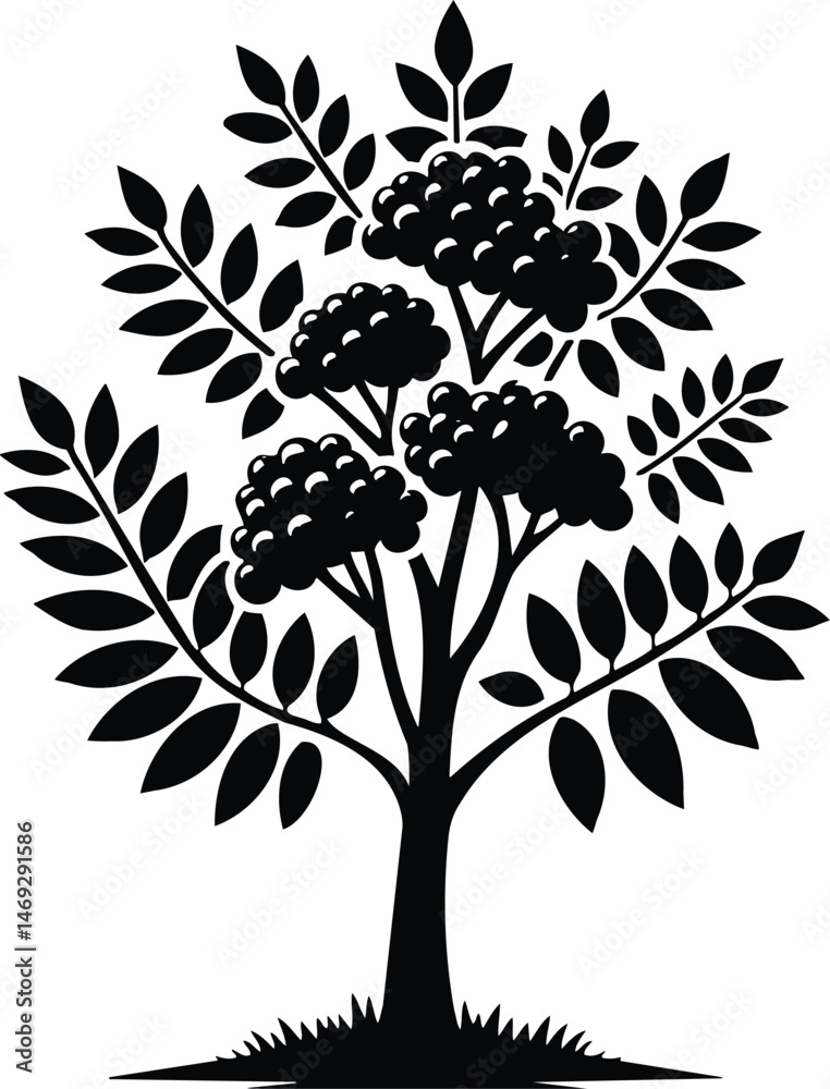 Obraz premium Vector plant illustration