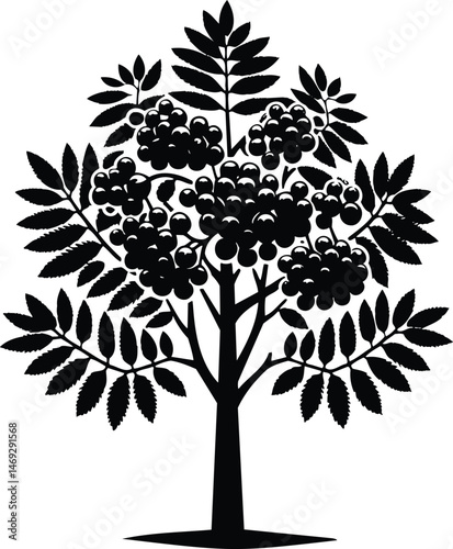 Isolated tree silhouette