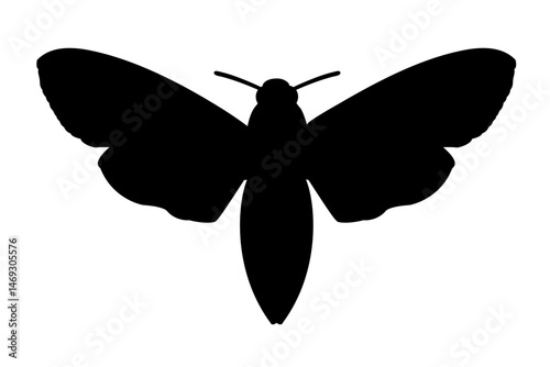 vector realistic silhouette butterfly. Cartoon black clip art isolated on transparent background. Hand drown design element.