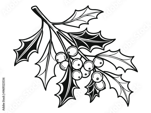 Christmas mistletoe outline icon, Christmas holly berry leaves. Mistletoe line art Vector