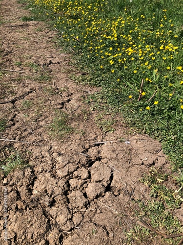 A public footpath in the countryside of North Yorkshire, England,  United Kingdom