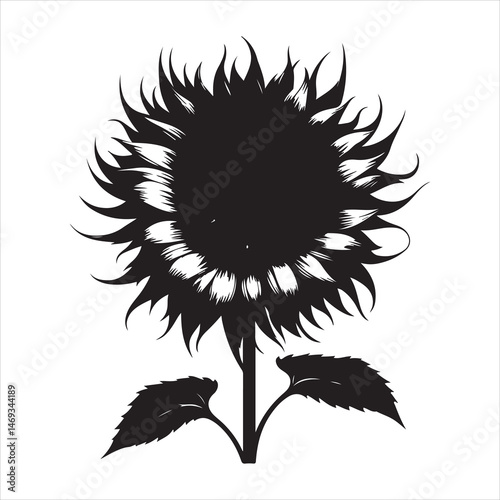 Black sunflower silhouette on a bright white background, clean and detailed petals 