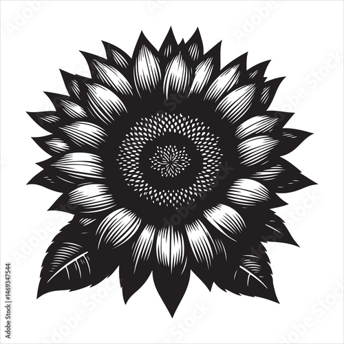 Black sunflower silhouette on a bright white background, clean and detailed petals 