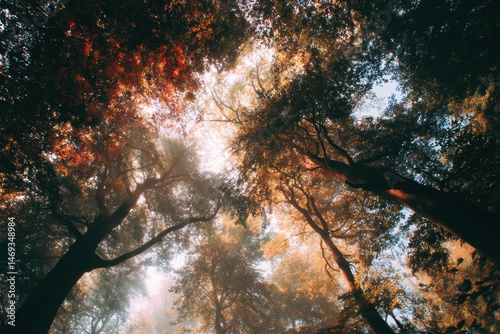 Obraz na płótnie Vibrant Forest Canopy in Autumn Hues With Warm Light Filtering Through Trees During a Peaceful Morning Generative AI w salonie