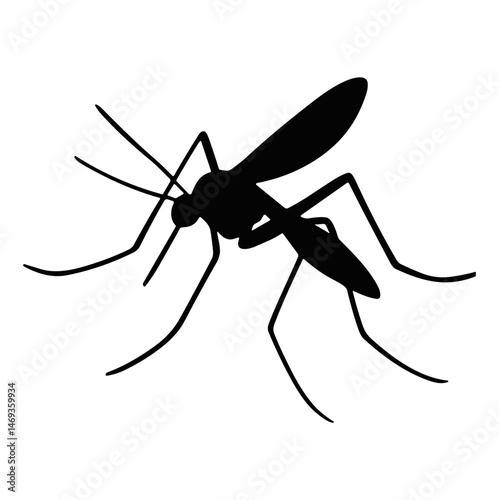 Mosquito silhouette