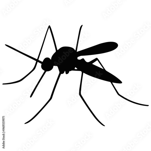 Mosquito silhouette