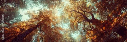 Obraz na płótnie Warm Autumn Tones Illuminate Forest Canopy With Light Leaks in Vibrant Foliage Generative AI w salonie