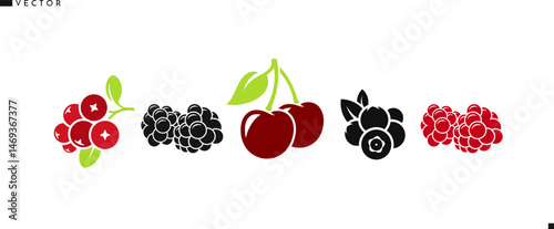 Organic food. Berries and fruit vector. Isolated cherry raspberry blueberry cranberry and blackberry 