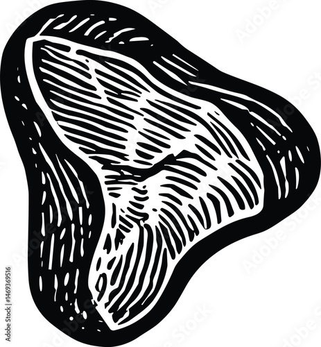 Hand-drawn vintage illustration of a raw meat steak cut, ideal for butcher shop graphics, traditional cooking, recipe books, and culinary design in rustic or retro style