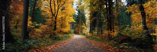 Serene Forest Path Bordered by Vibrant Autumn Trees in a Tranquil Woodland Setting Generative AI