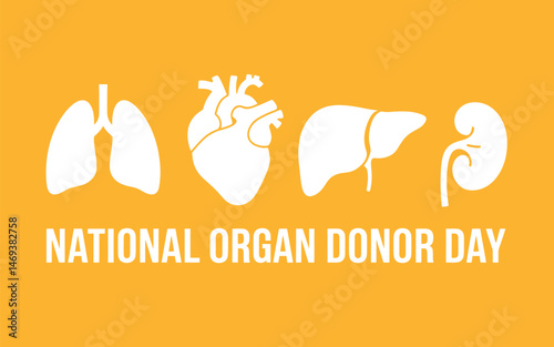 National Organ Donor Day with human organs icons graphic