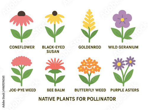 Native plants icons set – flat, outline, pollinator and garden symbols for nature