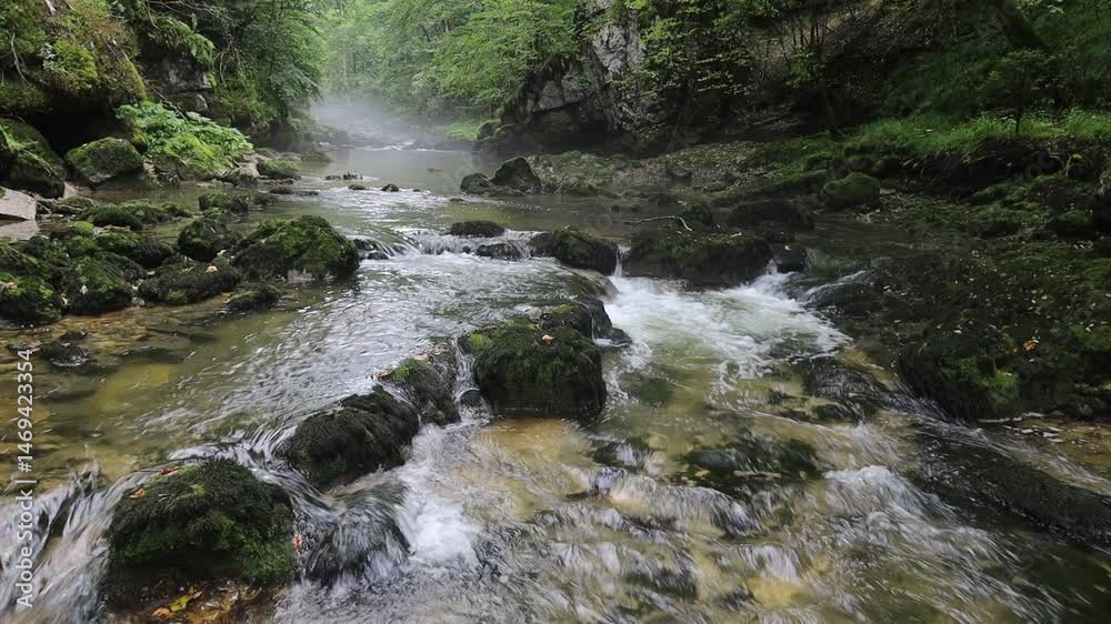 Les gorges de Malvaux sont des gorges du massif du Jura, où coule la rivière Saine, entre la commune de Foncine-le-Bas et la commune des Planches-en Montagne, dans le département du Jura
