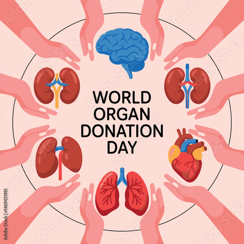 World Organ Donation Day hands holding various human organs