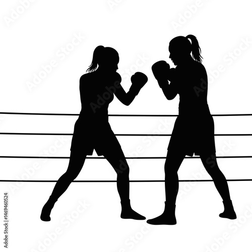 Poised Boxers Silhouette Anticipating the Start of the First Round in the Center of the Ring