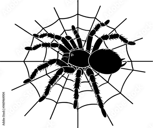 Tarantula spider web illustration black and white  