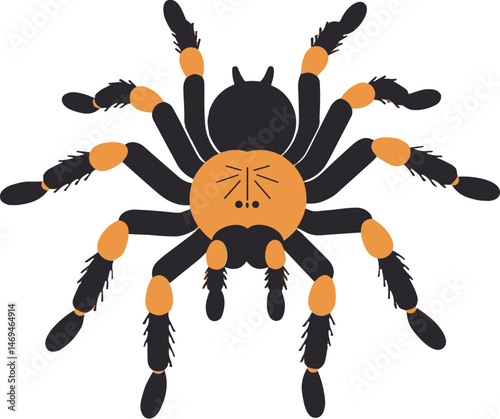 Tarantula illustration featuring bold colors and simple design  