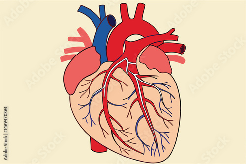 33 anatomically accurate human heart, detailed blood vessels, circulatory system, medical illustration, digital art, hyper realistic, cinematic lighting, highly detailed, photorealistic