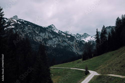 road to the mountains