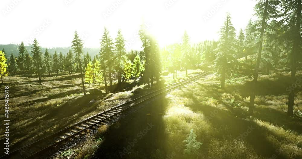 A railway track winds its way through a serene forest illuminated by warm sunlight. Tall trees line the path, creating a picturesque natural landscape.