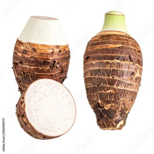 White Taro Transparent Background