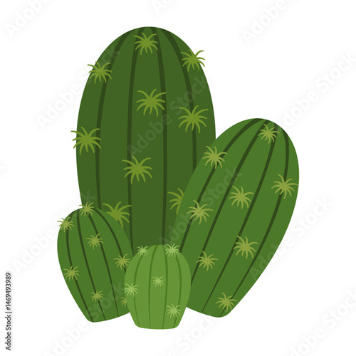 Colorful cactus and succulent collection with flowers and unique shapes