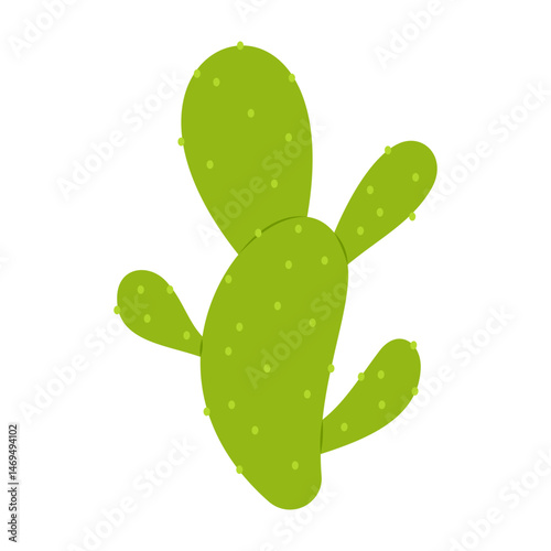 Simple cartoon cactus and succulent plants with flowers and smooth shapes