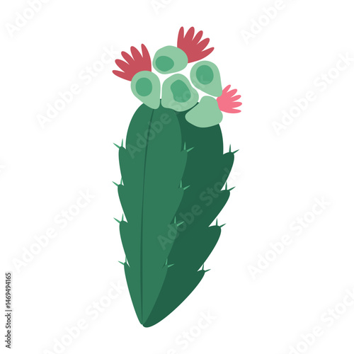Simple cartoon cactus and succulent plants with flowers and smooth shapes