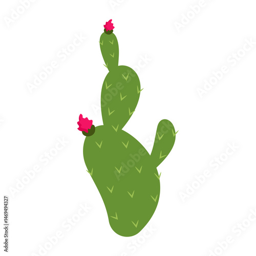 Simple cartoon cactus and succulent plants with flowers and smooth shapes