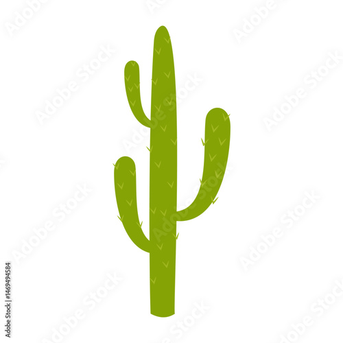 Minimal cactus illustrations with tall shapes and blooming flowers