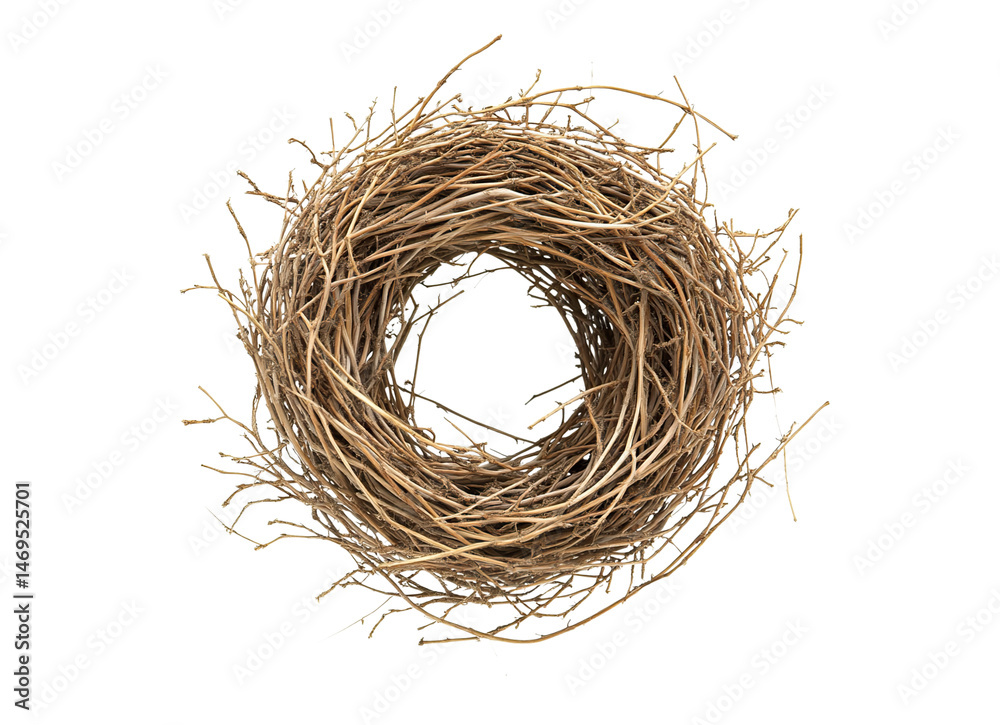 Obraz premium Tumbleweed