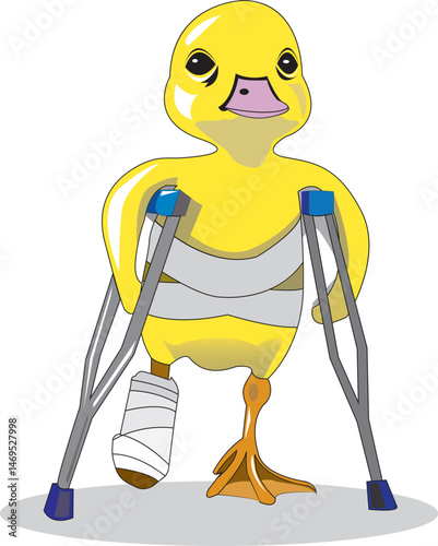 very sad the little duck's leg is broken