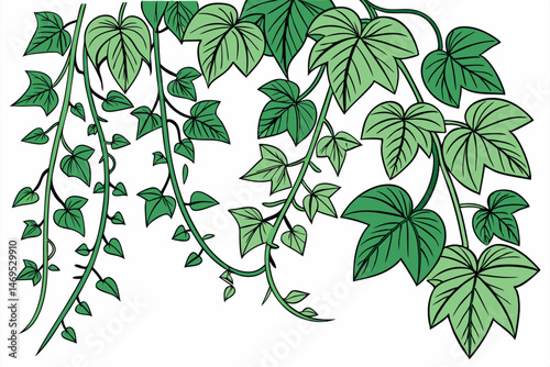 50 lush green leafy vines, cascading tropical foliage, dense overgrowth, vibrant verdant tendrils, luxuriant verdant foliage, nature's exuberant growth, verdant organic botanical tapestry, verdant tra
