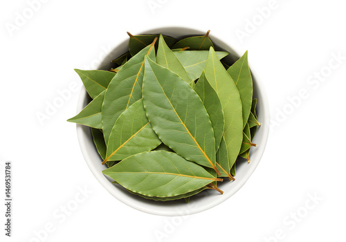 Dried Bay Leaves in Bowl isolated on white background