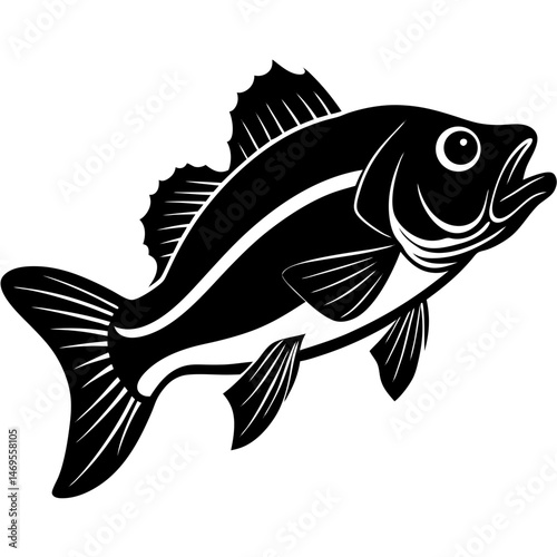 fish vector illustration