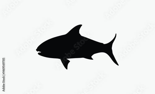 seabass fish silhouette, bold fish profile, spiked fin outline, marine fish shape, black white seabass, ocean fish vector