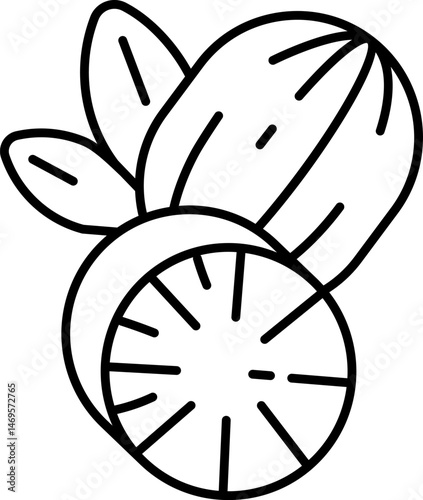nutmeg illustration on a white background     