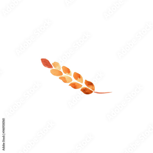 one ear of wheat in watercolor, on white background