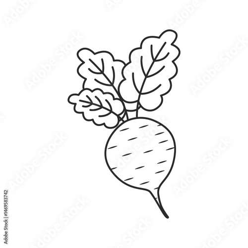 Beetroot vegetable with leaves icon in flat style. Beet plant vector illustration on isolated background. Healthy food sign business concept.