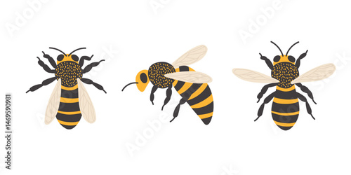 Detailed illustrations of bees in various poses showcasing their unique features and colors