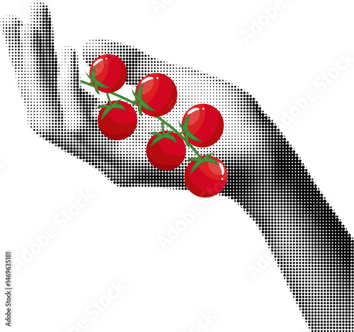 Cherry tomatoes in hands, Halftone illustration of hands tenderly holding olives, Black and white dotted texture, Retro pop art style design isolated on white background, Summer fruits concept. Vector
